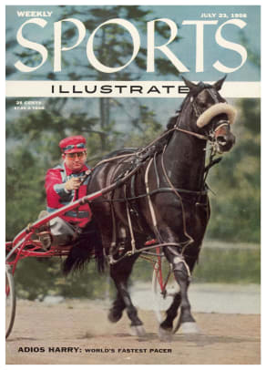 41862 - Cover Image